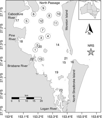 Effect of a Once in 100-Year Flood on a Subtropical Coastal Phytoplankton Community